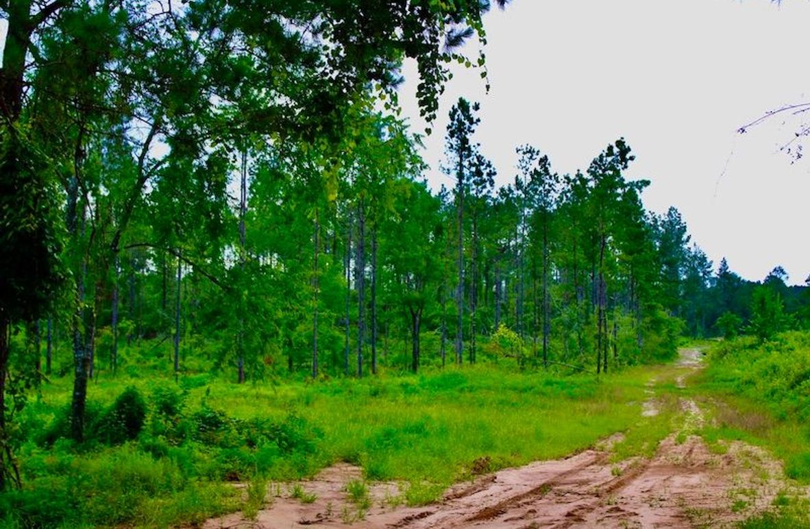 1F048418-5AD8-4E4D-86E2-35BED12090F4_1_105_c