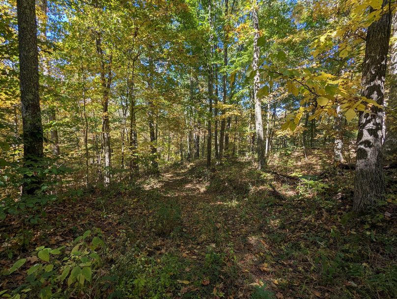 PXL_20231004_164308619