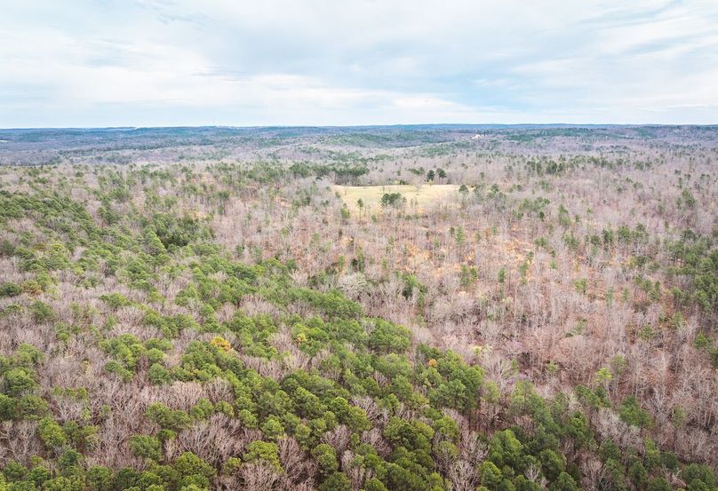 DJI_20250403115959_0552_D