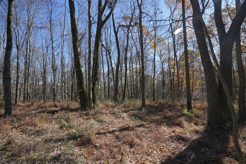 Somerset, 10.91, Tinkey-43