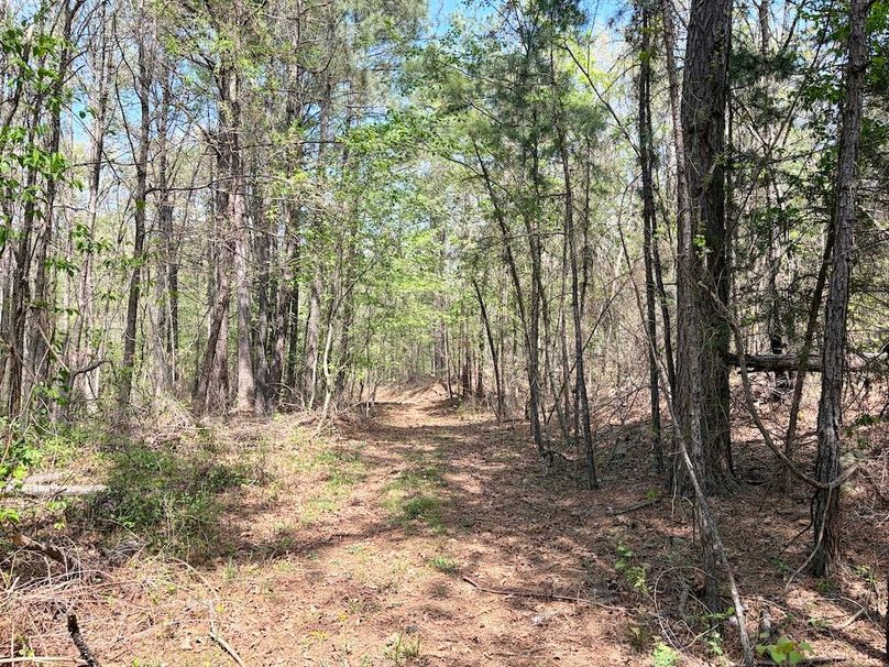 82A9F1AD-E932-48EA-BED7-12878CB7BFE4_1_201_a