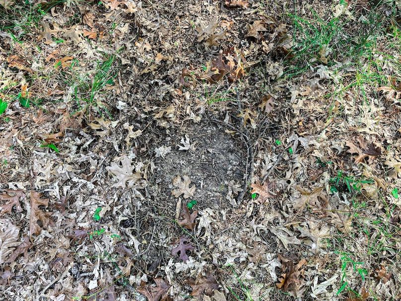 Juneau 27 Wiesner -063