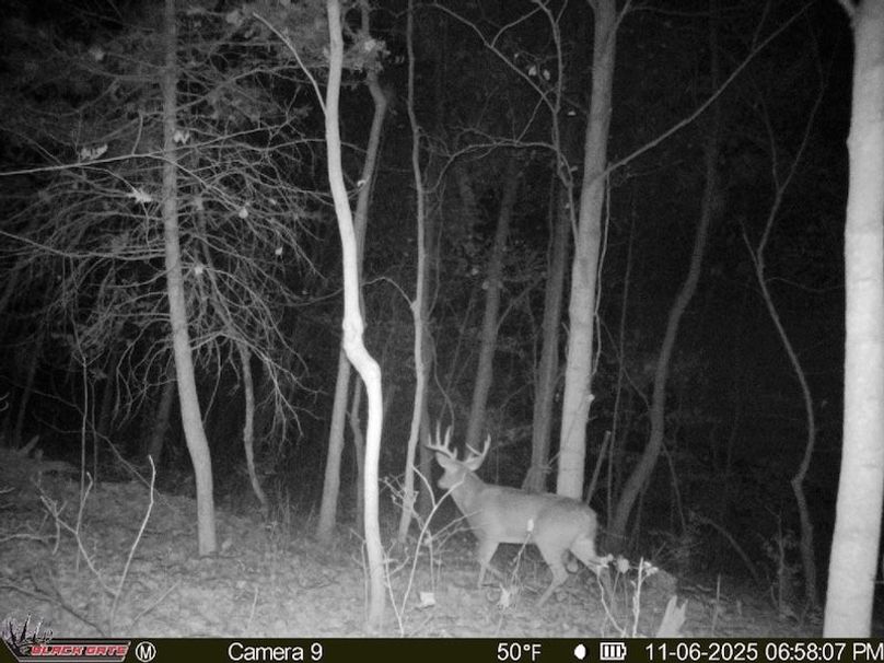 4FFEF51B-D968-4D49-A02C-95716DDECC60