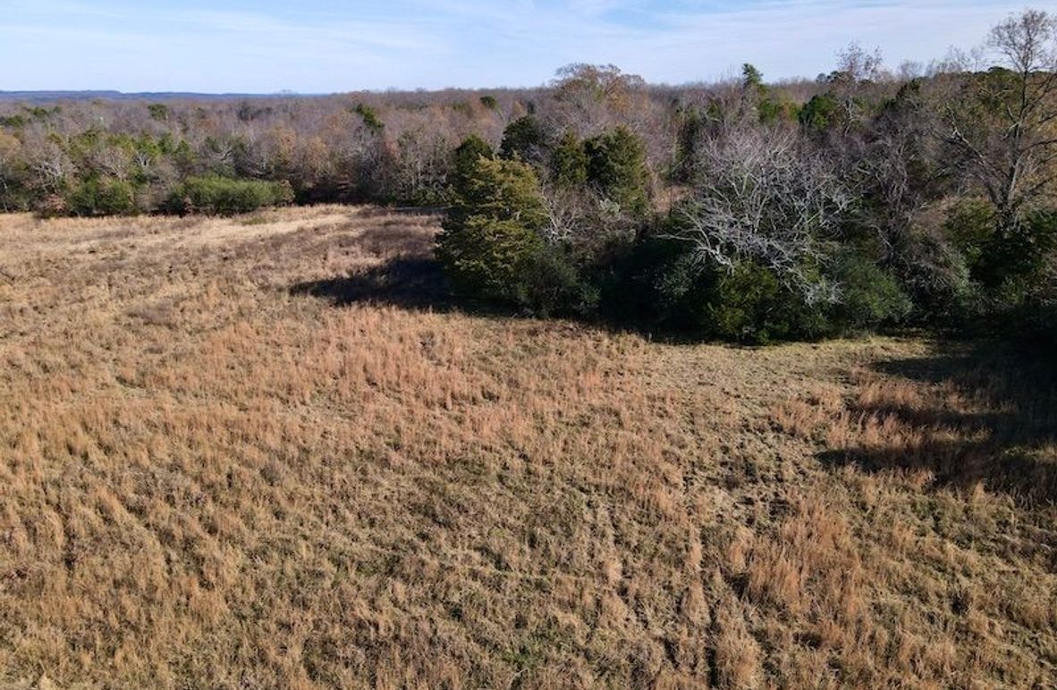 dji_fly_20251130_130548_868_1764615007780_photo