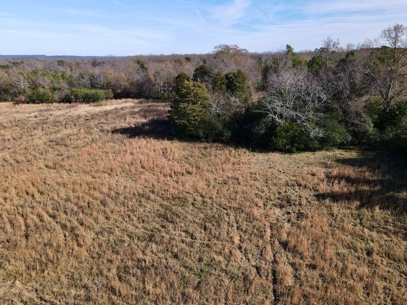 dji_fly_20251130_130548_868_1764615007780_photo