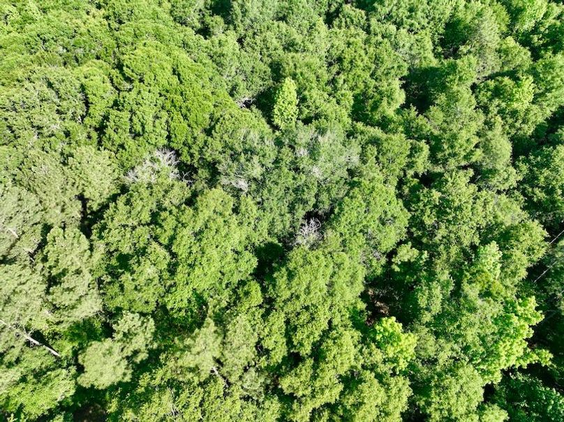 dji_fly_20260424_100034_568_1777039418429_photo