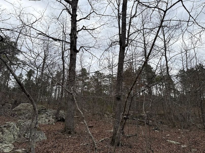 DJI_20260324_104524_062