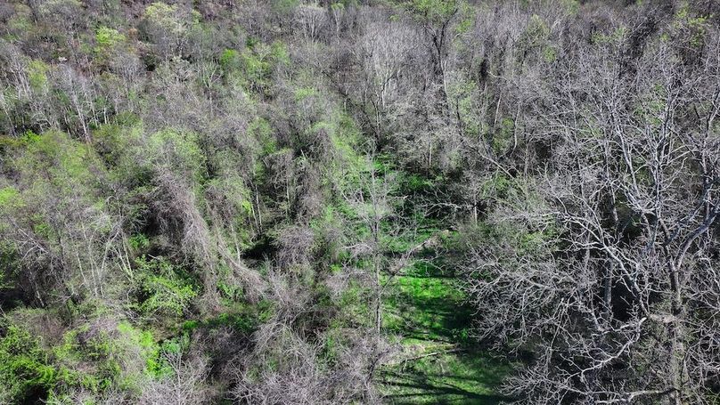 DJI_20250425040532_0430_D