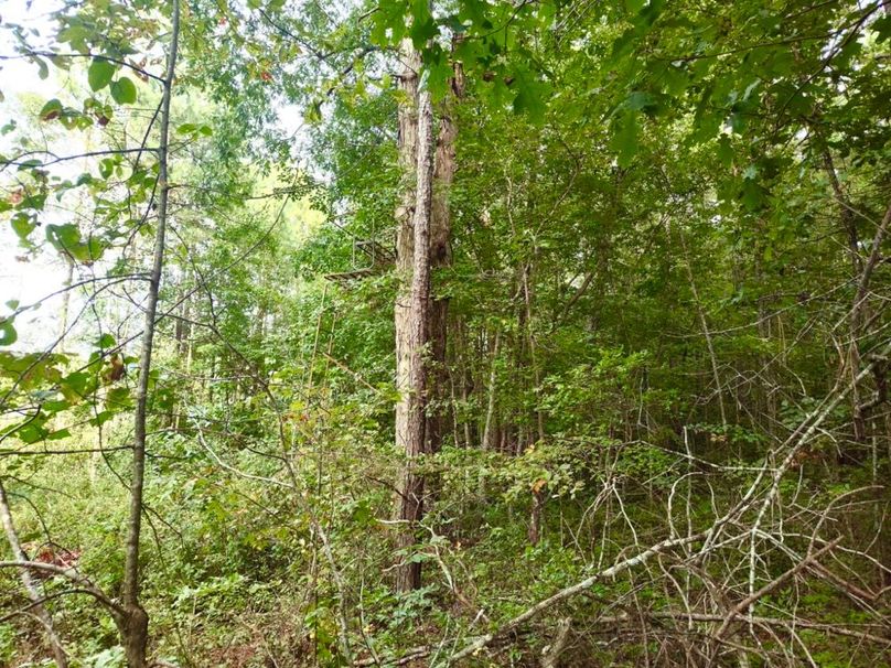 IMG_20250914_171101069