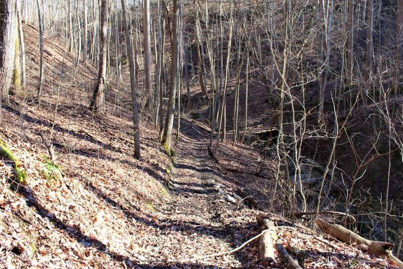 015 one of the 4 wheeler friendly trails in the bottom of the valley, complete with a bridge