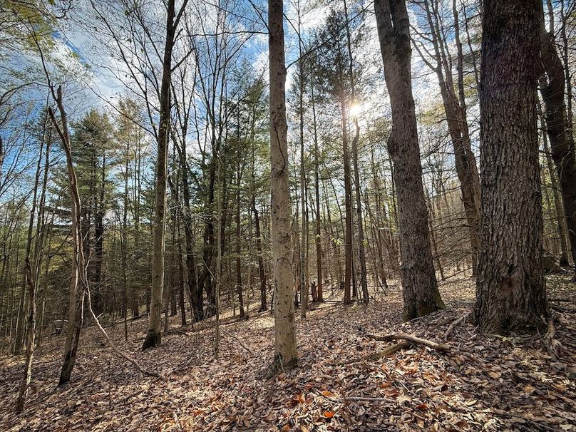 Chemung_59.8_Currier_photos_40