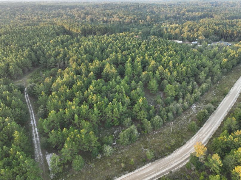 dji_fly_20230925_074114_737_1695642644671_photo