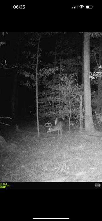1B-TrailCam