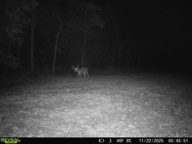 868032064822061-1-4-11222025004554-W1018305