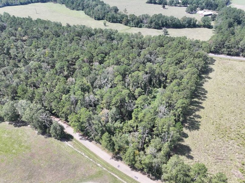 dji_fly_20250929_130218_0558_1759177338317_photo