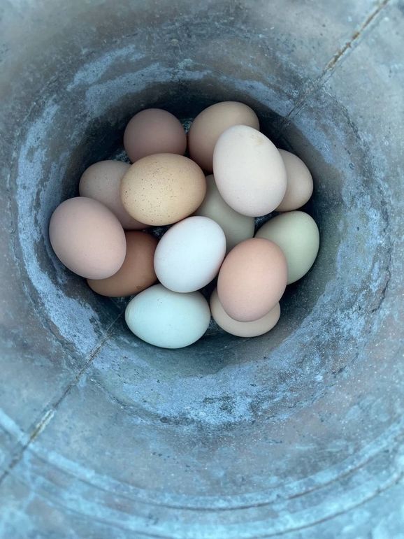 047 check the biscuits, the gravy is almost done
