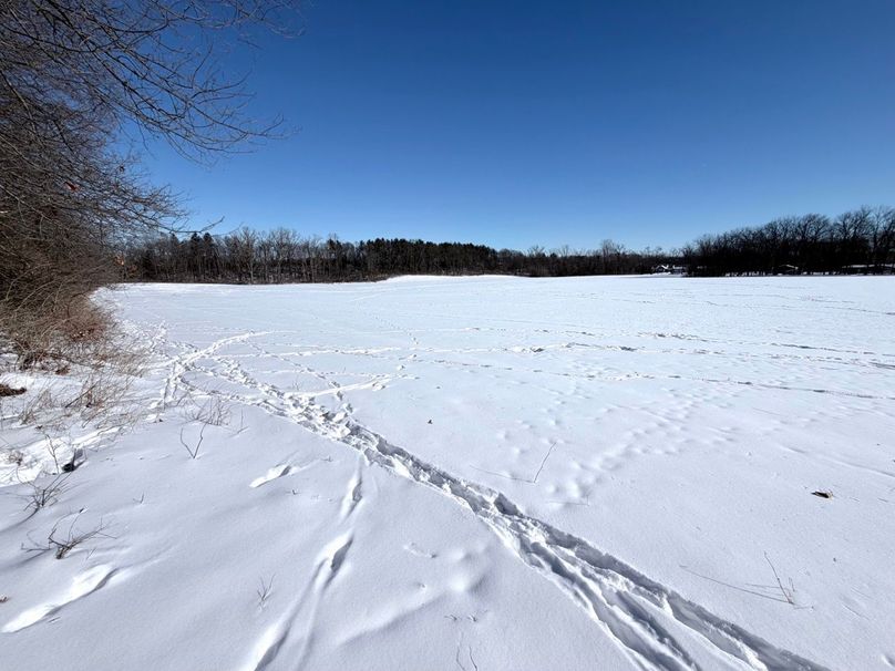 2.Copy of Tract 2 Looking NE over tillable toward Pine Ridge Large