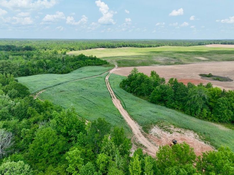 dji_fly_20250423_130746_807_1745428246045_photo