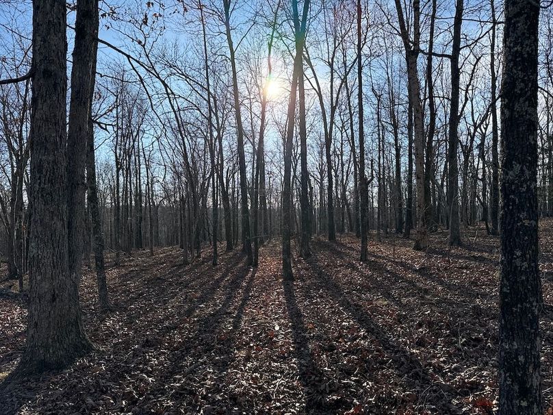 DJI_20260113_152657_506