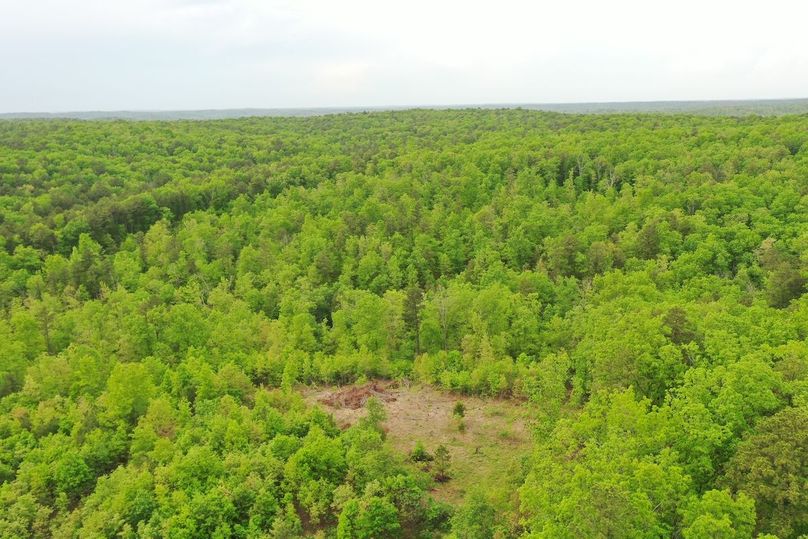 DJI_0808