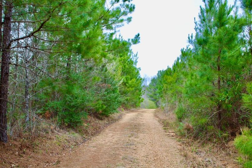 C07D8C1E-40C3-4C96-BE78-8A8E46531D42_1_105_c