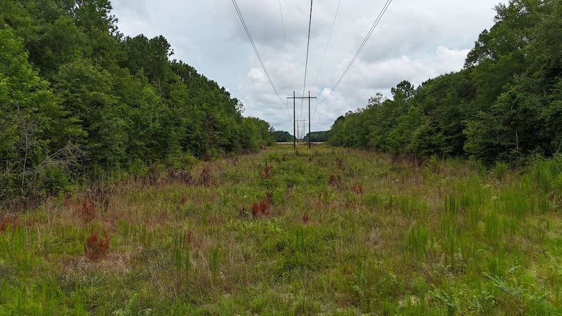 dji_fly_20250715_115642_0611_1752596189944_photo