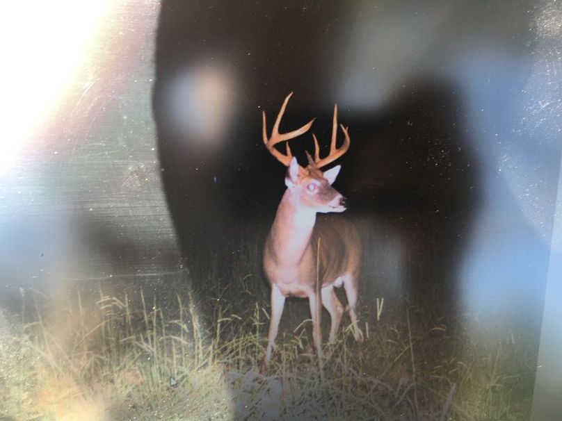 4C84027D-7F12-4B17-A376-9CB46EDC009D