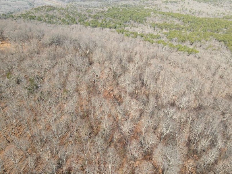 DJI_0644