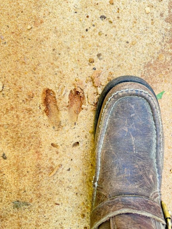 589F00AB-201F-466F-8B25-390A0BCD76E3