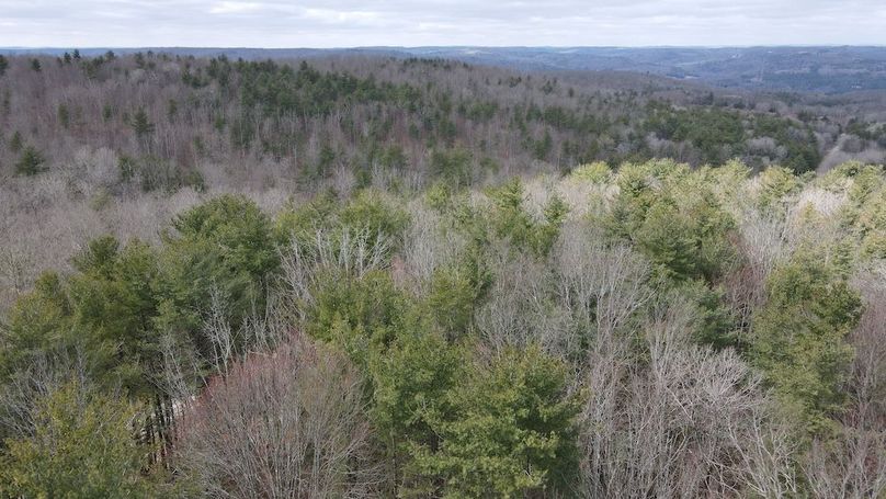 5 dji_fly_20250325_113158_953_1742916734442_photo