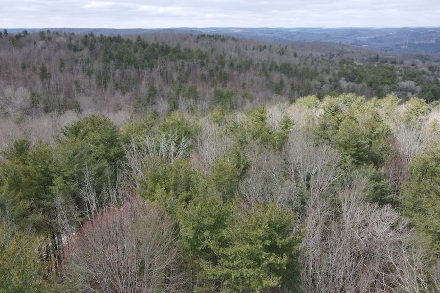 5 dji_fly_20250325_113158_953_1742916734442_photo