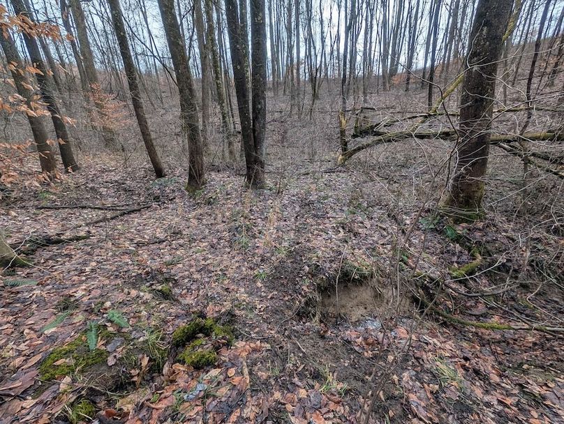 PXL_20260107_180937259