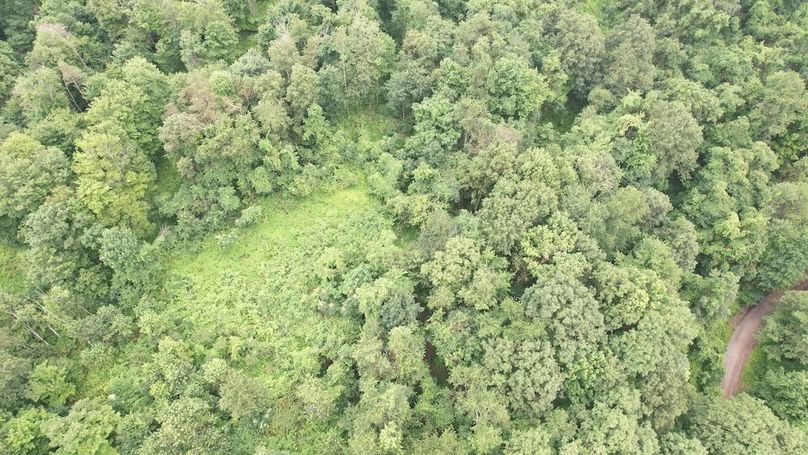 dji_fly_20250714_141424_442_1752537422377_photo