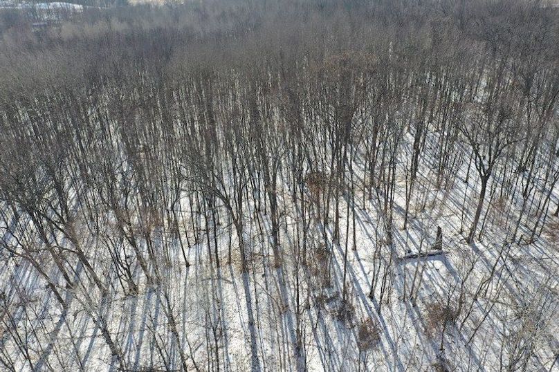 org_3184fd60152b0712_1708452638000