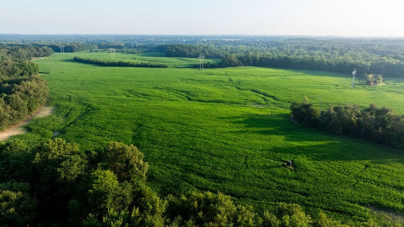 Copy of DJI_20250807181924_0050_D Large