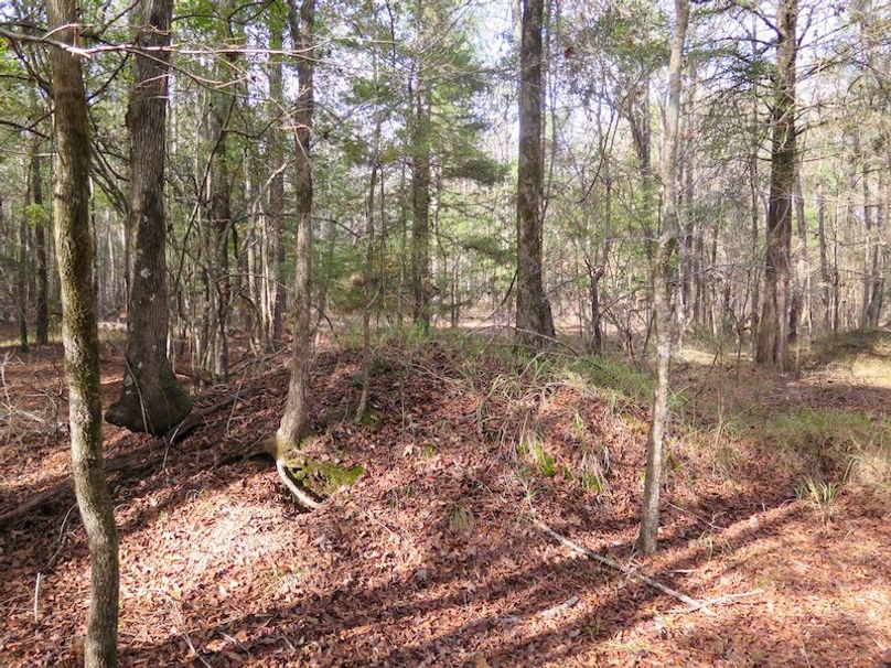 Lauderdale Co - 74 - Gillentine-24