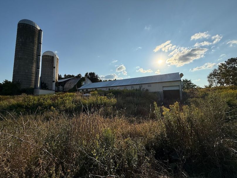 Copy of Wood Tract 2 Photo 10