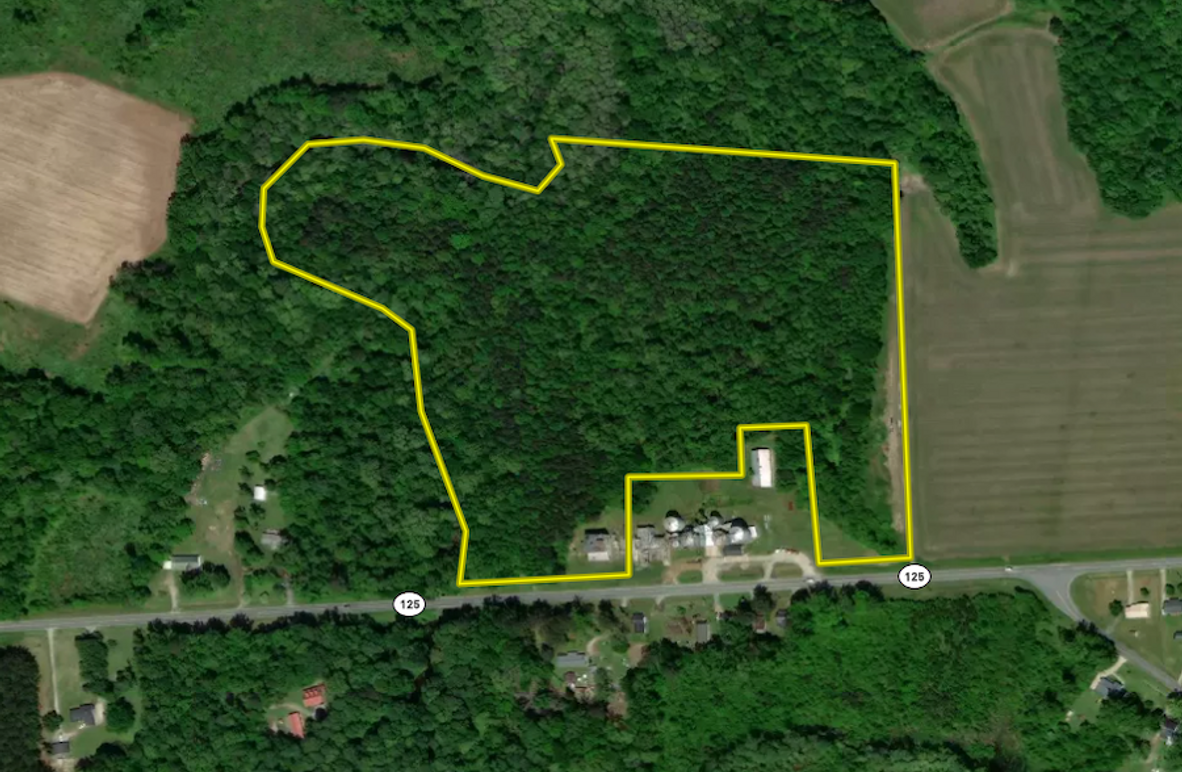 Martin Co, NC 32 - Lake Phelps Timber Zoom