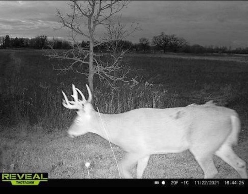 Resized_Screenshot_20240227-114451_Messages