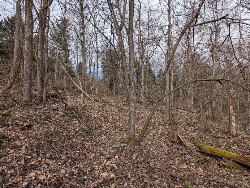 PXL_20230213_164703978