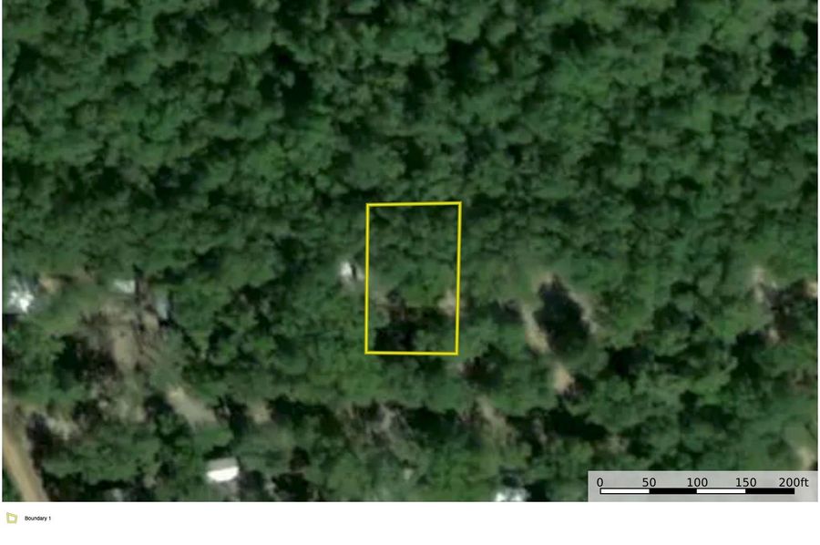 Catahoula_Camp_Ariel copy