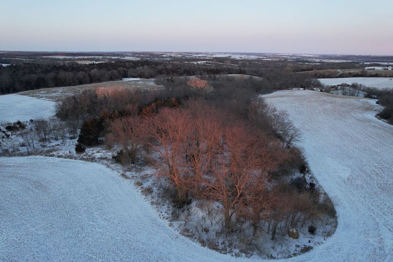 DJI_0546