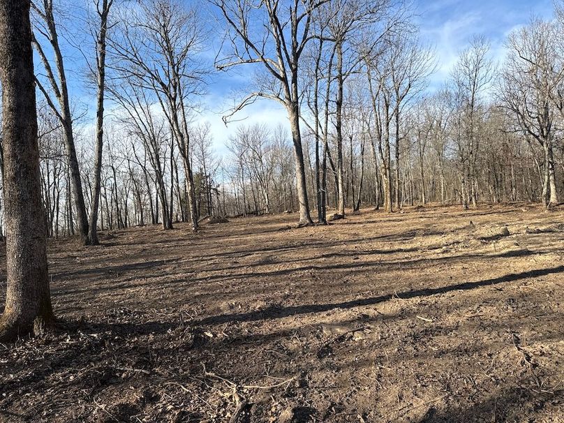 DJI_20260113_150306_971