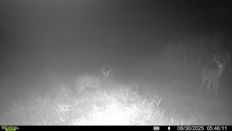 016579006920529-100-4-08302025054611-SYFW00032