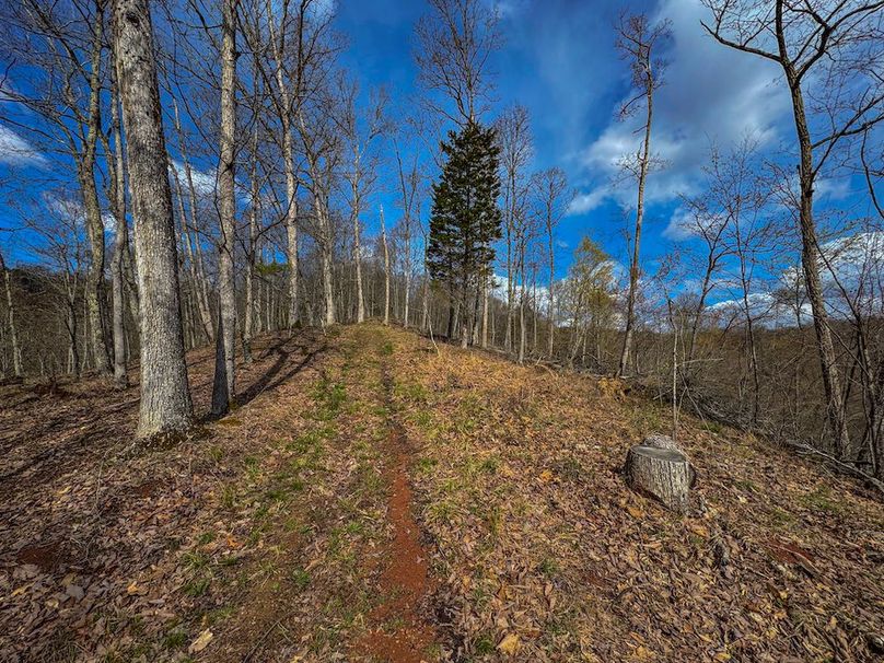 Wirt, WV 156.941 AC Full-22