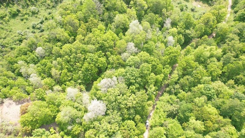 dji_fly_20250602_114632_286_1748879361425_photo