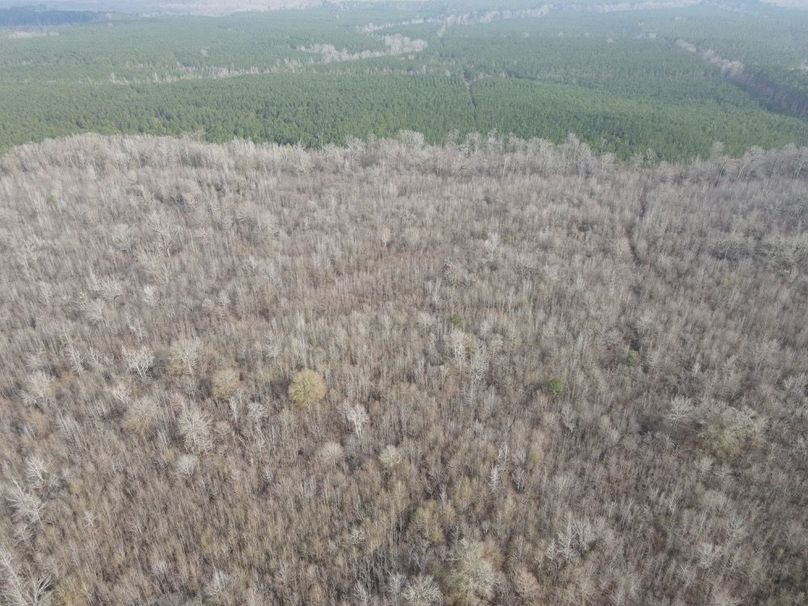 dji_fly_20260109_133128_799_1767987364197_photo