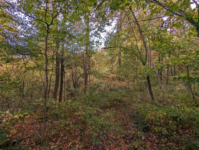 PXL_20231004_192620185