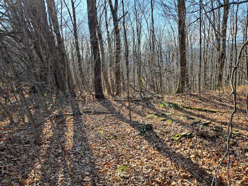 photo_5fd17378-3655-400f-bf20-9f7d01e514d9