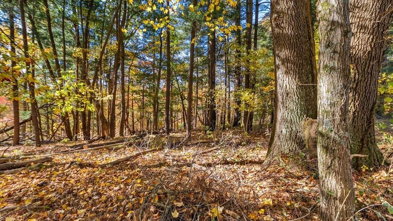 49-zj 18384 Crawmer Rd Se,102-2